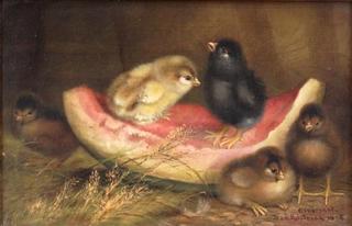 Five Chicks on Slice of Watermelon