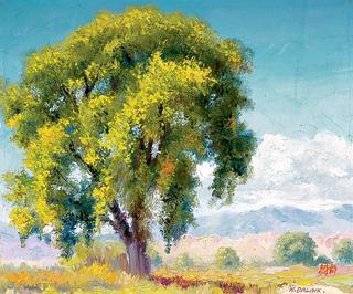 New Mexico Landscape - Summer