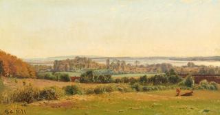 Summer Landscape with Views of Fields and a Fiord