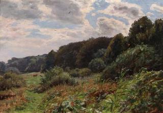Clouds Drifting over a Landscape