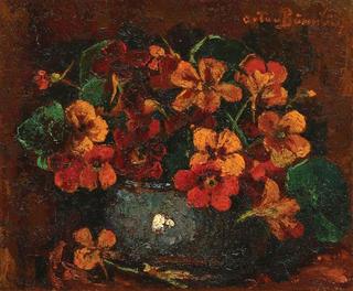 Nasturtiums