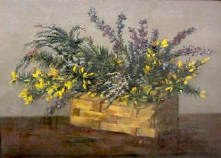 Heather and Gorse