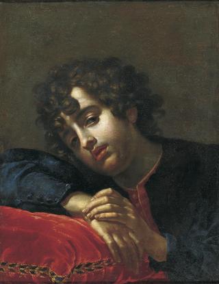 Portrait of a Boy Leaning on a Red Velvet Cushion