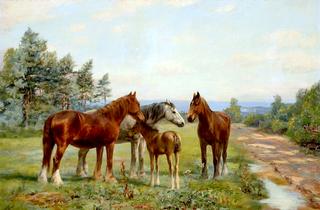 Group of Horses and a Foal