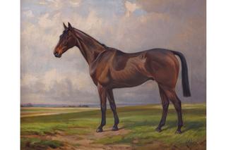 Chestnut Horse