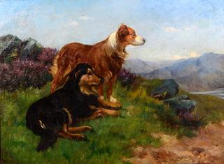 Two Collies in a Landscape