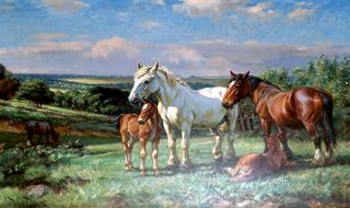 Horses and Foals