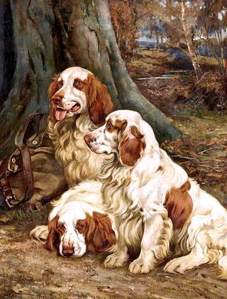 Clumber Spaniels