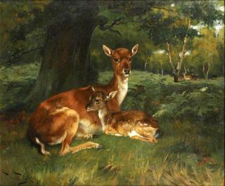 Doe and Fawn in Forest Landscape