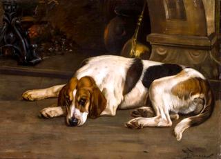 A Foxhound by the Hearth