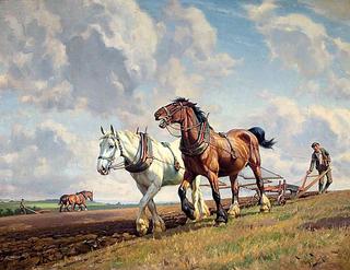 Ploughing the Fields