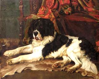 The St. Bernard