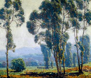 Eucalyptus