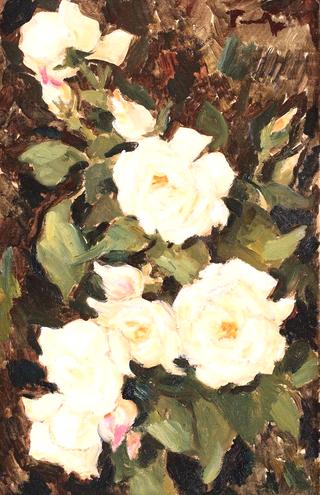 White Roses