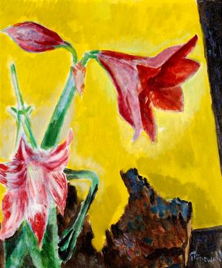 Still Life with Amaryllis