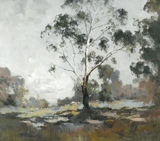 Landscape with White Gum