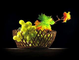Still life