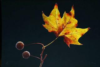 Autumn