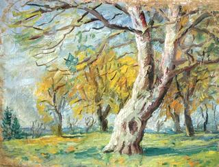 Autumn Trees