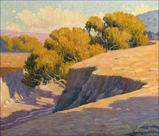 Summer in canyon