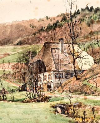 Black Forest House in a Sunny Valley