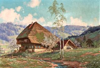 Summer at the Black Forest