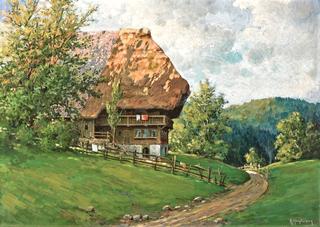 Sunny Summer Day at the Black Forest