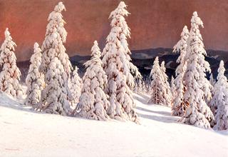 Winter Landscape with Fir Trees at the Black Forest