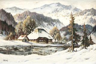 Sunny Winter's Day in the Black Forest