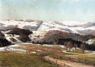 Snowmelt in the Black Forest