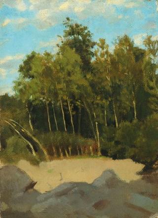 Forest Clearing