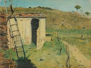 Shed with ladder