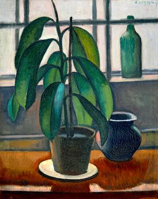 Still Life