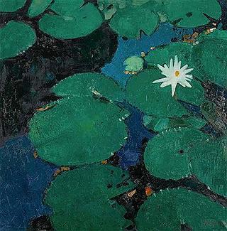 Waterlilies