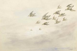 A Flock of Golden Plover in Flight