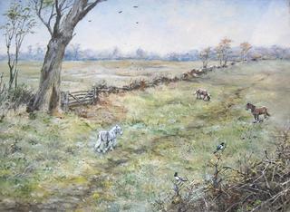 A Field with Three Horses and Two Magpies