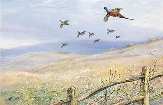 Pheasant and Grey Partridge Taking Flight