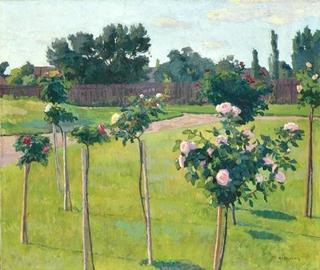 Roses in the Garden