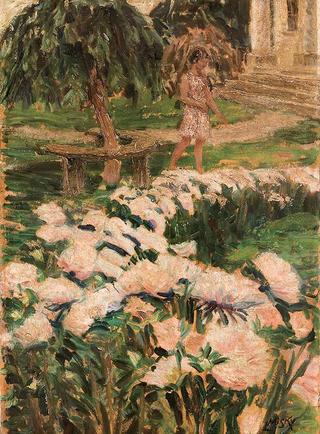 Summer in the Garden