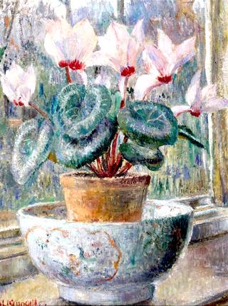 Still life of Cyclamen in a Chinese bowl