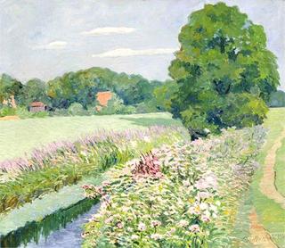 Flowering summer meadows at the moat near Fischude