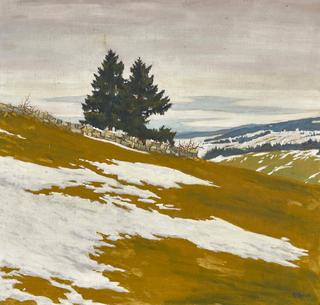 Patch of Snow