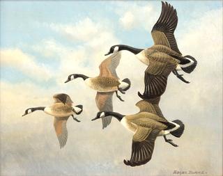 Geese in Flight