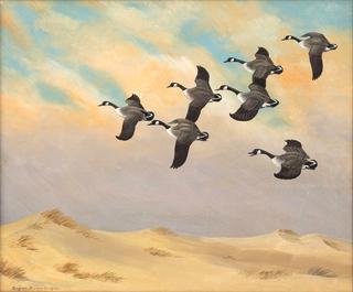 Geese Flying over the Dunes