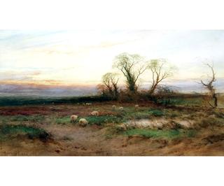 Sheep in Landscape