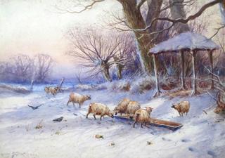Sheep Feeding at Dusk