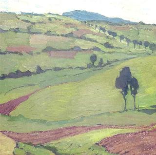 Wide Meadows