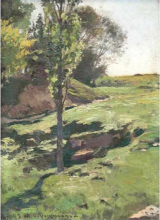Edge of Woods