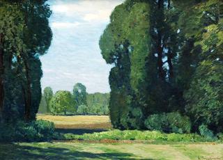 Summer Meadows in Spreewald