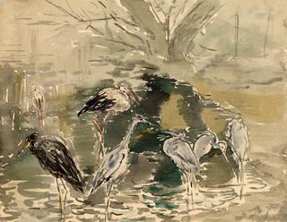 Herons
